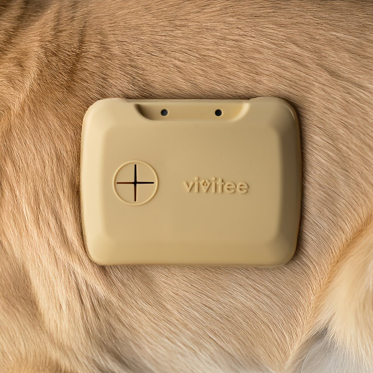 The pouch with a dog