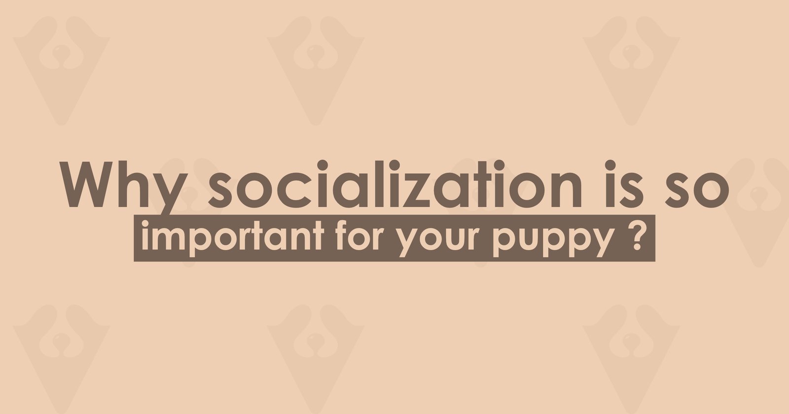Puppy socialization banner