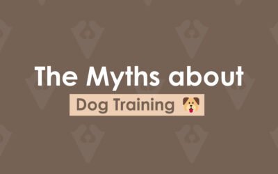 The Myths about dog training