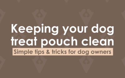 Keeping your dog treat pouch clean : simple tips & tricks for dog owners